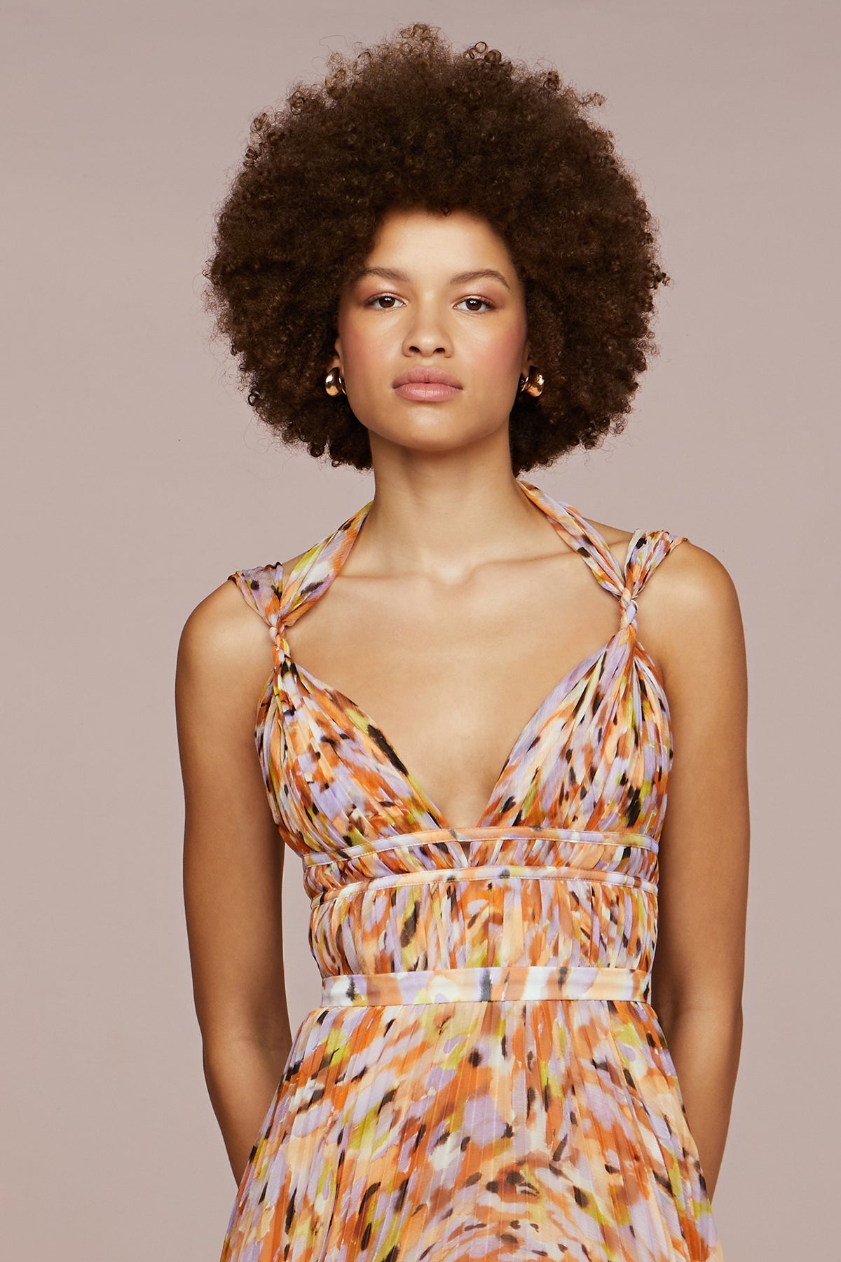 Neve Pleated Chiffon Dress