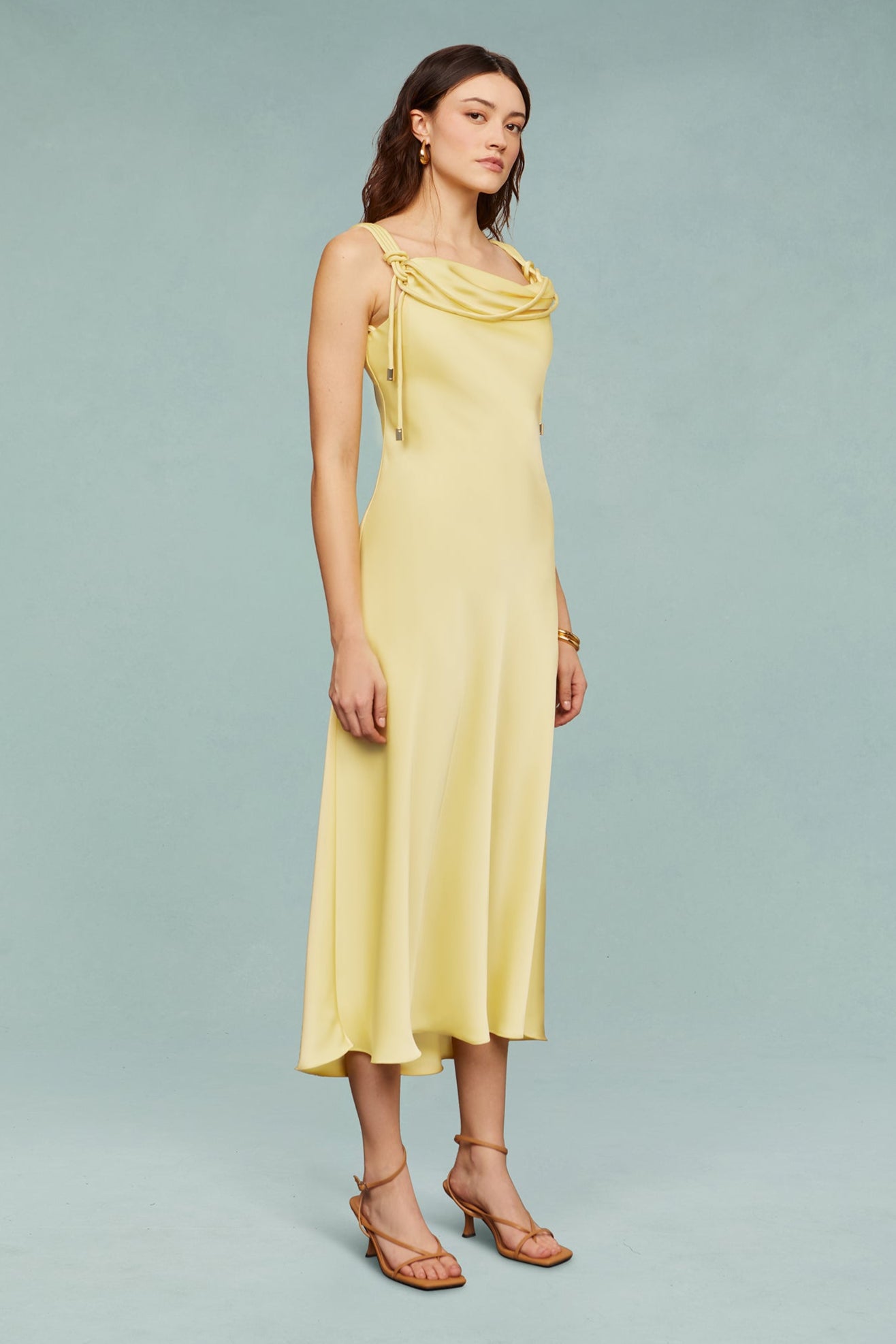 Liza Pleated Midi Dress
