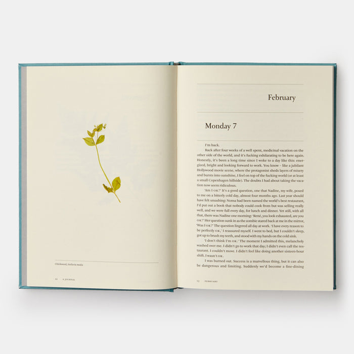 A Work in Progress: A Journal