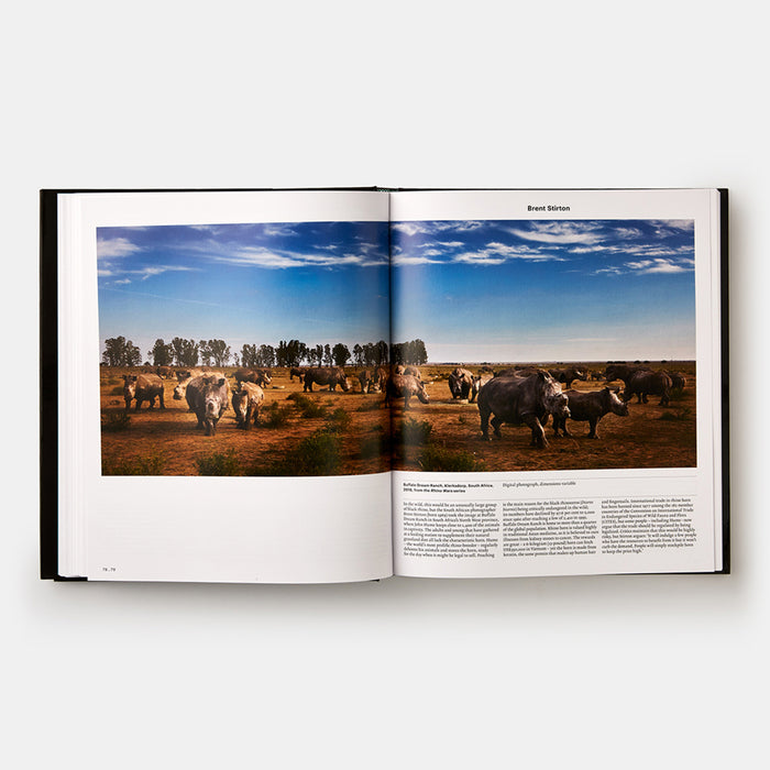 Animal: Exploring the Zoological World