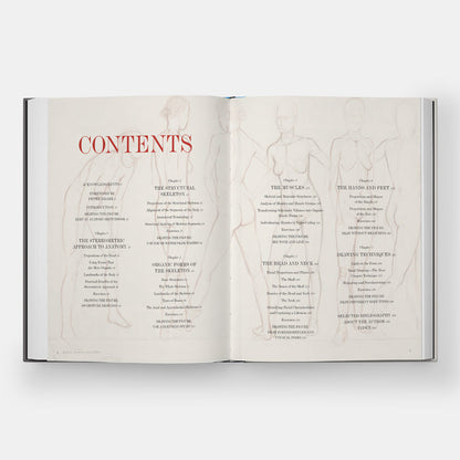 Basic Human Anatomy: An Essential Visual Guide for Artists