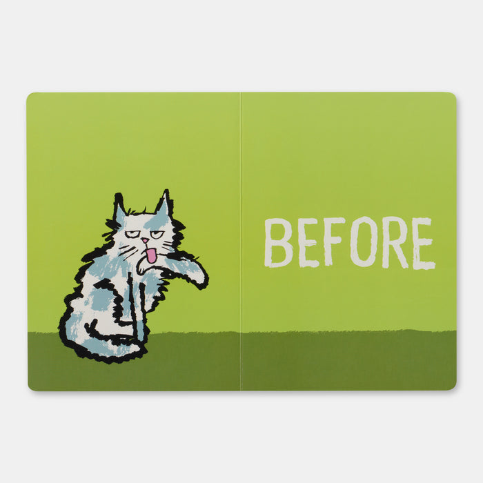 Before & After