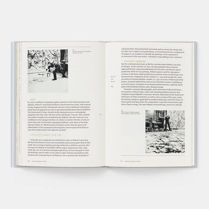 Jackson Pollock: Phaidon Focus
