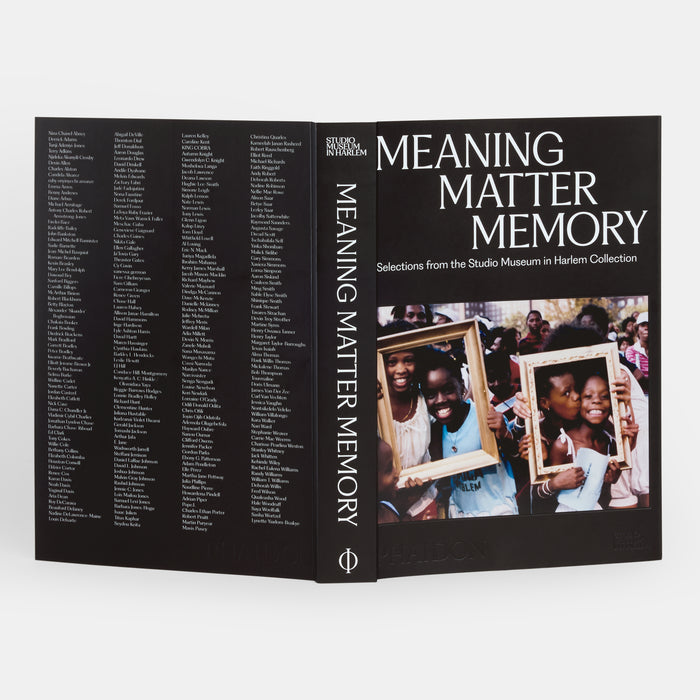 Meaning Matter Memory: Selections from the Studio Museum in Harlem Collection