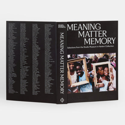 Meaning Matter Memory: Selections from the Studio Museum in Harlem Collection