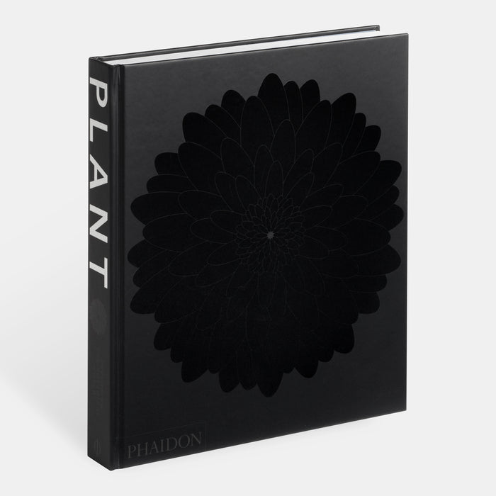 Plant: Exploring the Botanical World