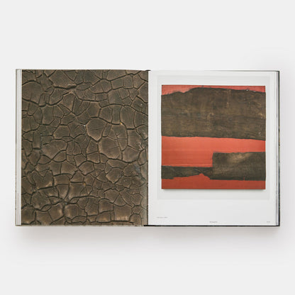 Theaster Gates: Young Lords and Their Traces
